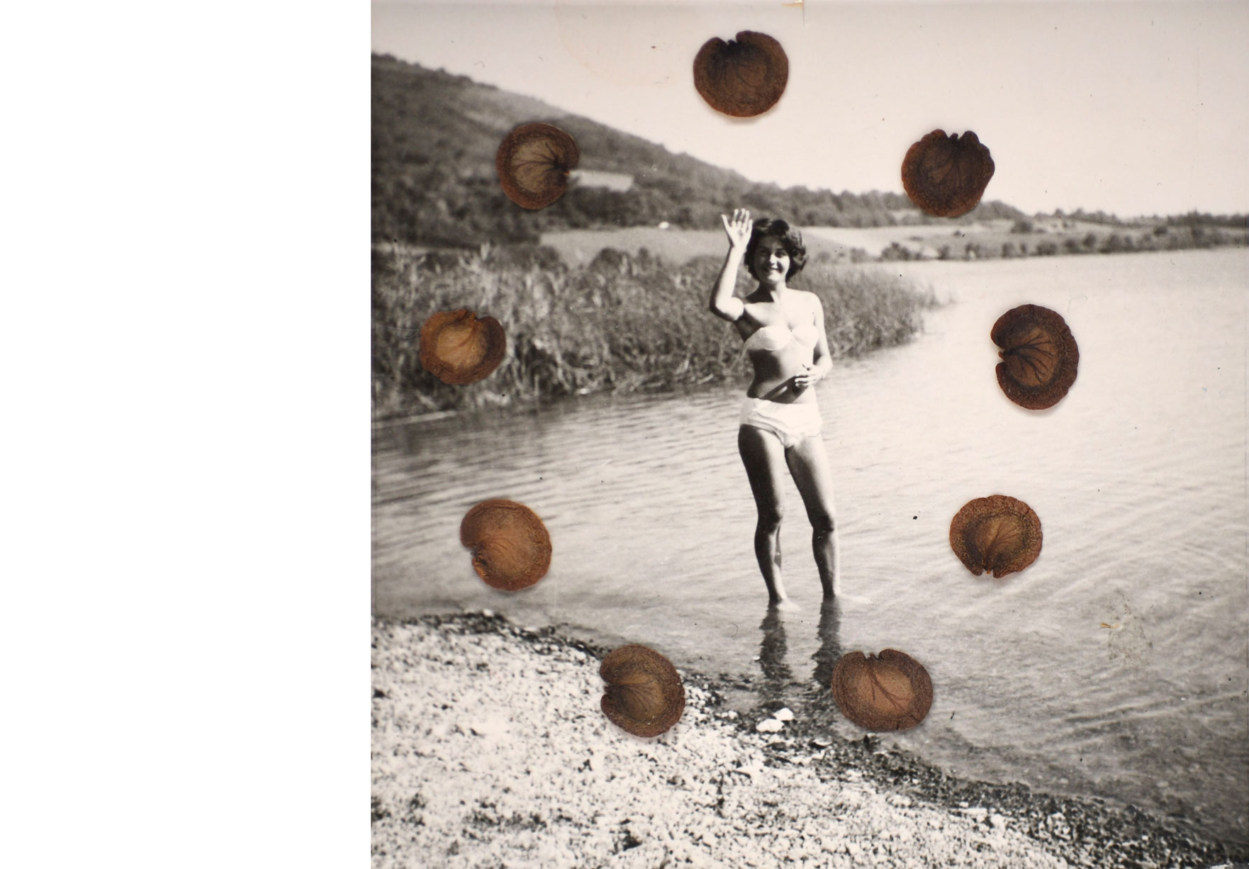 Second souffle #17 de Céline Dominiak -- Femme regardant l'horizon avec des jumelles - Collage de graines sur photographie argentique noir et blanc
